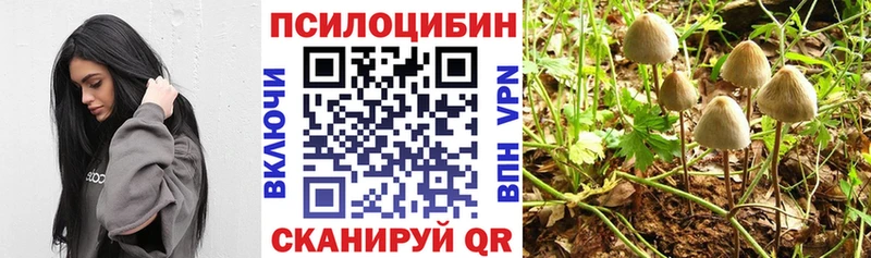 Псилоцибиновые грибы Psilocybine cubensis  Иркутск 